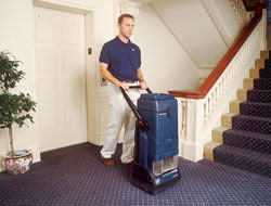 carpet cleaning